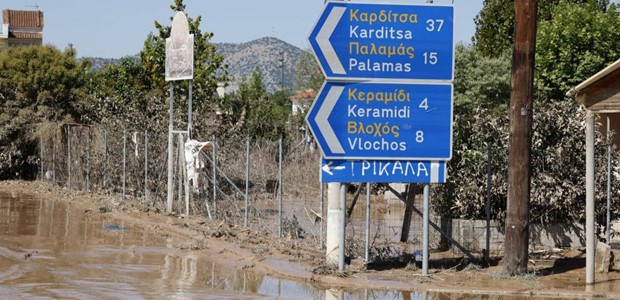 Τα μισά κουφάρια ζώων ακόμα στους δρόμους